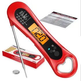 D2-64 BIISON Meat Thermometer Digital Grill Cooking