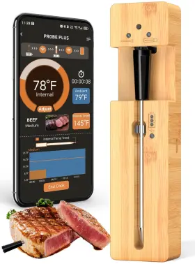 FM212-1 BOTDOYS Alerts Wireless Meat Thermometer Smart Probe