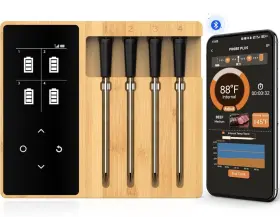 FM2302 BOTDOYS Probe Wireless Bluetooth Accurate Smart Meat