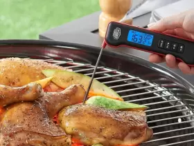 XG19-107-002-02 EXPERT GRILL Pocket Digital Meat Grilling #2