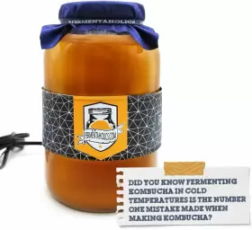 HU-XI-201 FERMENTAHOLICS Kombucha Heater Brewing Fermentation #2