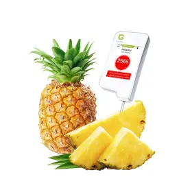 NO.1112 GREENNOVO Digital Nitrate Tester Vegetable Fruit Meat #3