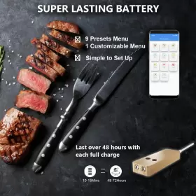 705509825078 HIODS XION Smart Wireless Meat Thermometer #3