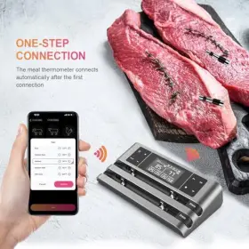 HK-W02 HONGKANG TECH Wireless Smart Meat Thermometer Dual #3