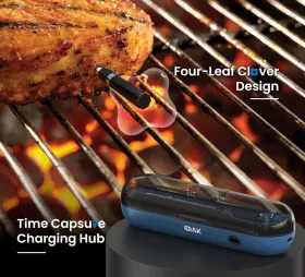 VP-CP10-12-V3 IDIAK Wireless Meat Thermometer Clover Probe #2