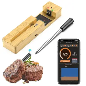 445013955924 MOGUNDAM Wireless Meat Thermometer Bluetooth Wat