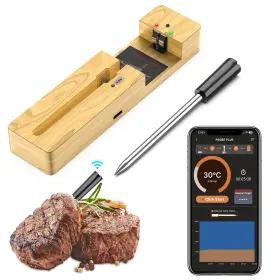 FM212-04 MOGUNDAM Wireless Meat Thermometer Bluetooth Probe