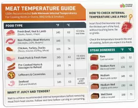 885016270737 MOMO NASHI Meat Temperature Magnet Chicken Beef