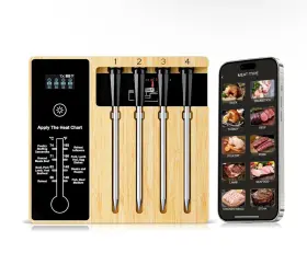 MT-S20 NIGOGOR Wireless Meat Thermometer Grilling Probes