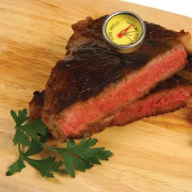 1225030 NORPRO Mini Steak Thermometers Coded Set #3