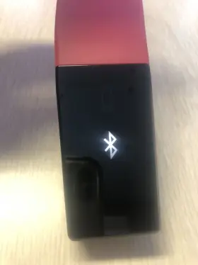 ZKJ-BLEA002 PARAGON Probe Smart Cooking