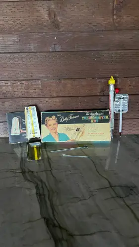 7BFC4FFE-3F2D-4 PIPERS PICKINS Westinghouse Thermometer Set