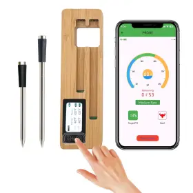 RYGD-2PROBE RYGDENG Wireless Smart Meat Thermometer Bluetooth