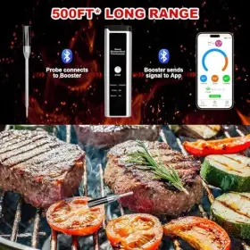DT-128 SHENZHEN GOLDGOOD INSTRUMENT LIMITED Wireless Meat #3