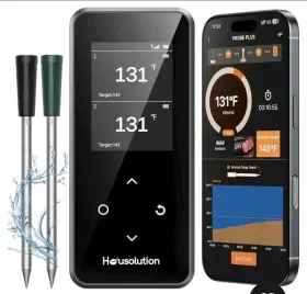 FM2201 SMART Wireless Meat Thermometer