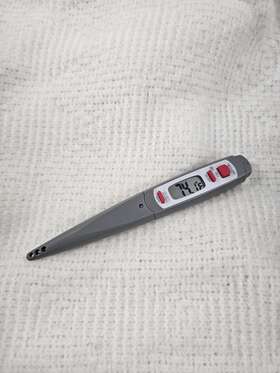 3519 TAYLOR Nsf Digital Thermometer Meat Grill Temperature