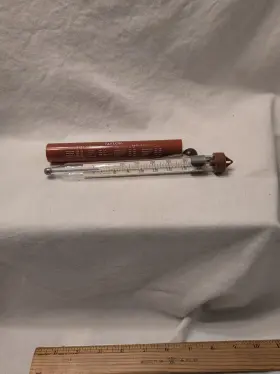 445048826862 TAYLOR Thermometer Candy Jelly Glass Tube