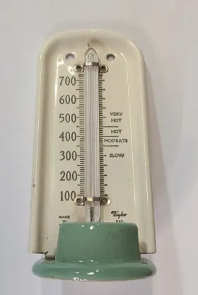 5298 TAYLOR Oven Thermometer Rochester Recipes