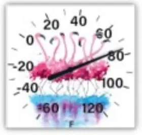 5323342 TAYLOR Pack Thermometer Square