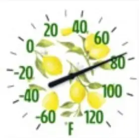 5323343 TAYLOR Lemon Thermometer Round