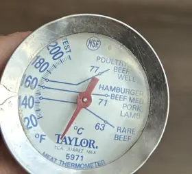 5971 TAYLOR Meat Thermometer Nsf