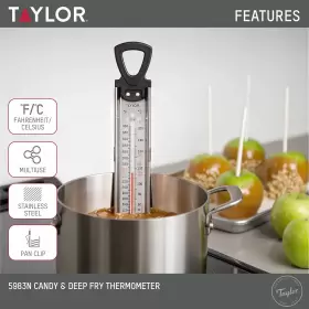 5983N66 TAYLOR Pro Candy Thermometer Analog Battery #3