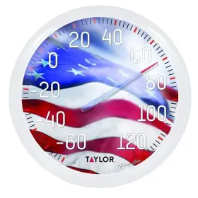 6729 TAYLOR American Flag Thermometer Deg