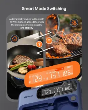 FNT12-4 MEAT Wireless Thermometer Smoker Wifi Bluetooth Grill #3