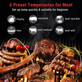 705353660825 TEMPPRO Meat Thermometer Oven Cooking Smoker Bbq