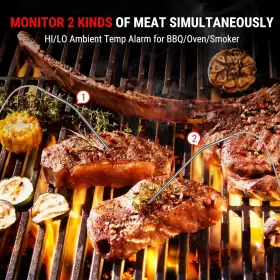 H10B TEMPPRO Wireless Meat Thermometer Grill Dual Probe #3