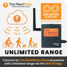 BR630T THE MEATSTICK Meat Stick Wireless Thermometer Wifi