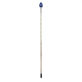 011405000460 THERMOMETER WORLD Glass Water