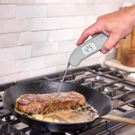 840358309239 THERMOWORKS Thermapen Recommended Thermometer #2