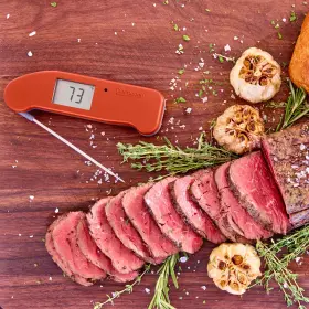 840358309239 THERMOWORKS Thermapen Recommended Thermometer #3