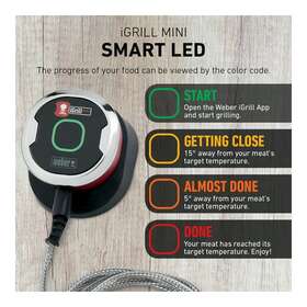 7202PK5 WEBER Igrill Mini Bluetooth Thermometer