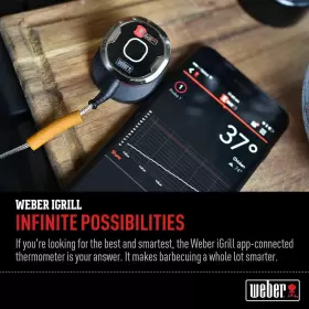 DFX1761 WEBER Igrill Mini #2