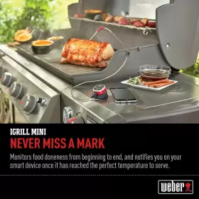 DFX1761 WEBER Igrill Mini #3