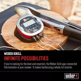 DFX1768 WEBER Igrill Thermometer #2