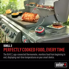 DFX1768 WEBER Igrill Thermometer #3