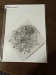 Wplus9 Stamp Set, Beautiful Bouquets Mums. Fixed Price $12.99.