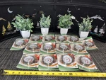 13 Qty! Bulk Lot- Taylor 6021 Grill Thermometer Analog 100f - 700f -new!. Fixed Price $50.00.