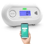 Low Level Co Monitor Wifi Remote Detection. Fixed Price $139.00.