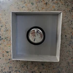 S-mart Temp. Fixed Price $98.97.