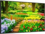Multisync M491- Led Lcd 49" Ultra High Definition Professional Display. Fixed Price $800.00.