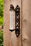 Vintage Cast Iron Bird Motif Outdoor Thermometer, Antique Style, Black, 10.5 In. Fixed Price $38.00.